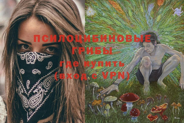 скорость Бронницы