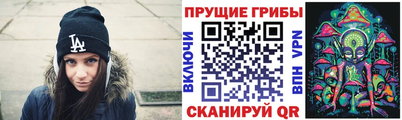 Галлюциногенные грибы Magic Shrooms  Купить где  Данков 
